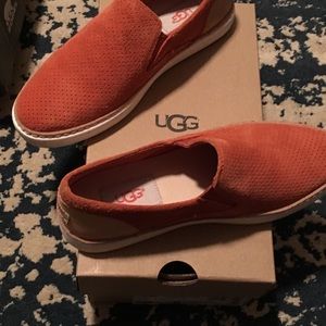 Ugg suede shoes